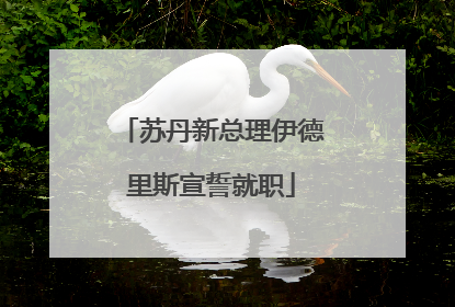 苏丹新总理伊德里斯宣誓就职