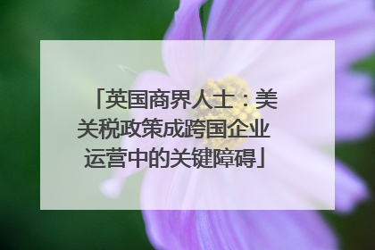 英国商界人士：美关税政策成跨国企业运营中的关键障碍