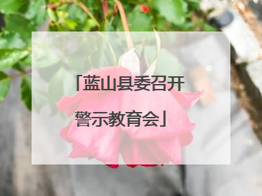蓝山县委召开警示教育会