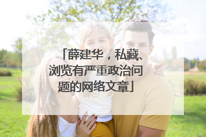薛建华，私藏、浏览有严重政治问题的网络文章