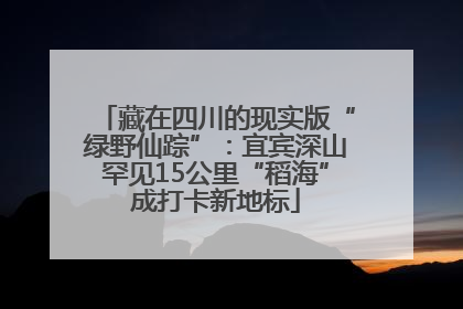 藏在四川的现实版“绿野仙踪”：宜宾深山罕见15公里“稻海”成打卡新地标