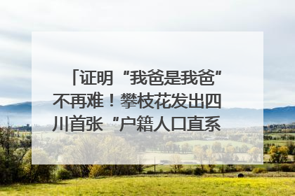 证明“我爸是我爸”不再难！攀枝花发出四川首张“户籍人口直系亲属关系谱”