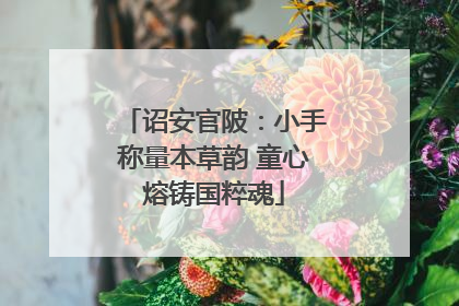 诏安官陂：小手称量本草韵 童心熔铸国粹魂