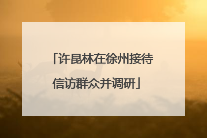 许昆林在徐州接待信访群众并调研