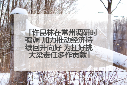 许昆林在常州调研时强调 加力推动经济持续回升向好 为扛好挑大梁责任多作贡献