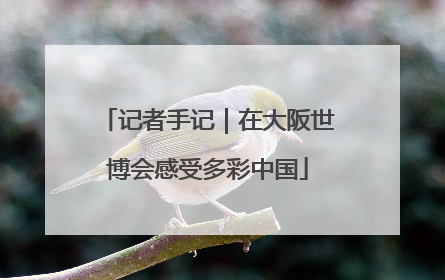 记者手记｜在大阪世博会感受多彩中国