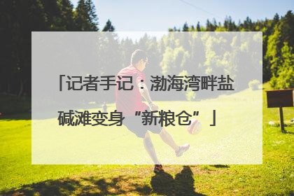 记者手记：渤海湾畔盐碱滩变身“新粮仓”