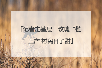 记者走基层｜玫瑰“链”三产 村民日子甜