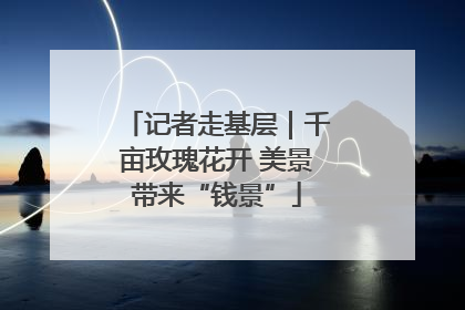 记者走基层｜千亩玫瑰花开 美景带来“钱景”