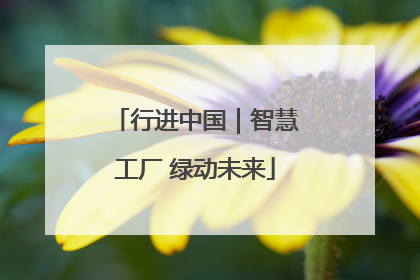 行进中国｜智慧工厂 绿动未来