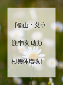 衡山：艾草迎丰收 助力村集体增收