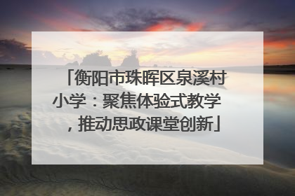 衡阳市珠晖区泉溪村小学：聚焦体验式教学，推动思政课堂创新