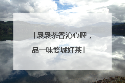袅袅茶香沁心脾，品一味婺城好茶