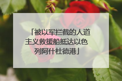 被以军拦截的人道主义救援船抵达以色列阿什杜德港