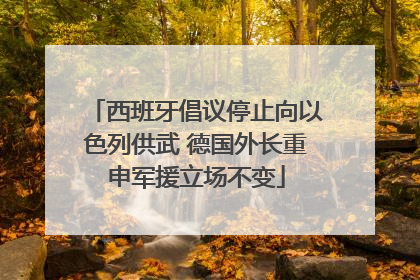 西班牙倡议停止向以色列供武 德国外长重申军援立场不变