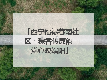 西宁福禄巷南社区：粽香传廉韵 党心映端阳