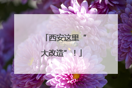 西安这里“大改造”！