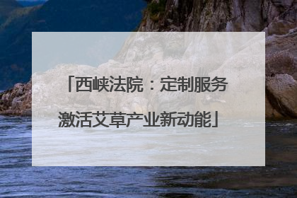 西峡法院：定制服务激活艾草产业新动能