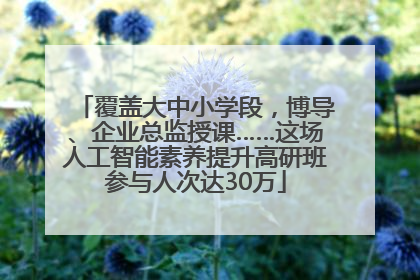 覆盖大中小学段，博导、企业总监授课……这场人工智能素养提升高研班参与人次达30万
