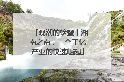 观潮的螃蟹丨湘南之南，一个千亿产业的快速崛起