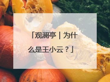 观澜亭｜为什么是王小云？