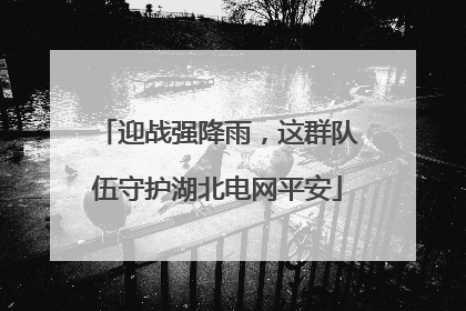 迎战强降雨，这群队伍守护湖北电网平安