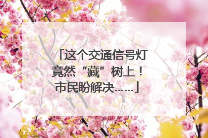 这个交通信号灯竟然“藏”树上！市民盼解决……