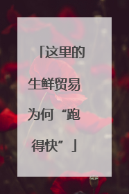 这里的生鲜贸易为何“跑得快”