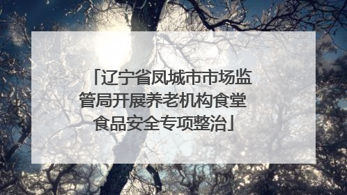 辽宁省凤城市市场监管局开展养老机构食堂食品安全专项整治