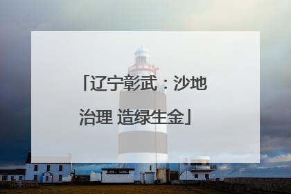 辽宁彰武：沙地治理 造绿生金