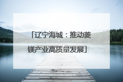 辽宁海城：推动菱镁产业高质量发展