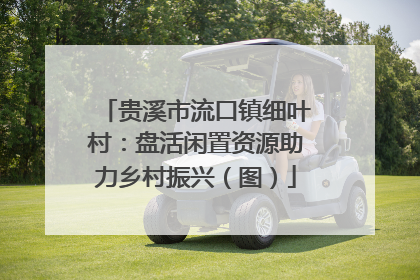 贵溪市流口镇细叶村：盘活闲置资源助力乡村振兴（图）