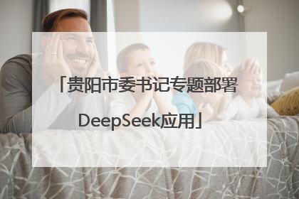 贵阳市委书记专题部署DeepSeek应用