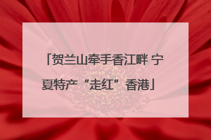 贺兰山牵手香江畔 宁夏特产“走红”香港