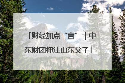 财经加点“言”｜中东财团押注山东父子