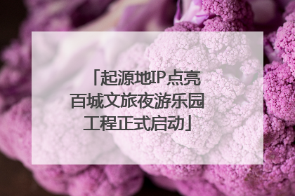 起源地IP点亮百城文旅夜游乐园工程正式启动
