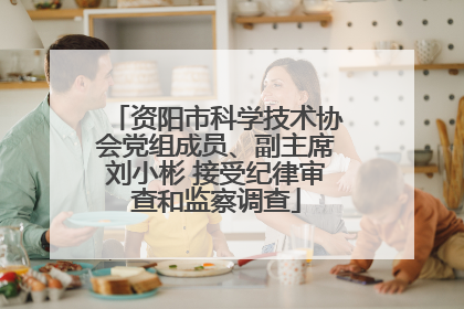 资阳市科学技术协会党组成员、副主席刘小彬 接受纪律审查和监察调查