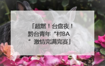 超燃！台盘夜！黔台青年“村BA”激情完满完赛