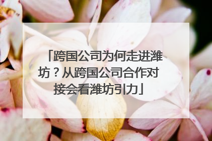 跨国公司为何走进潍坊？从跨国公司合作对接会看潍坊引力