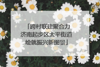 跨村联建聚合力 济南起步区太平街道绘就振兴新图景