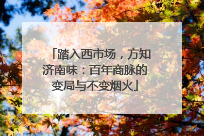 踏入西市场，方知济南味：百年商脉的变局与不变烟火