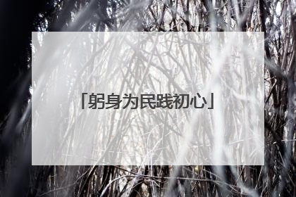 躬身为民践初心