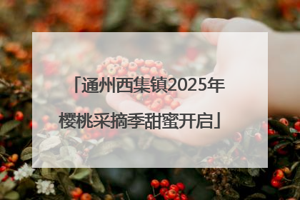 通州西集镇2025年樱桃采摘季甜蜜开启