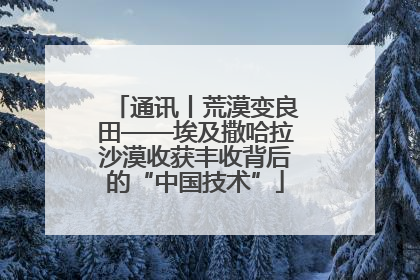 通讯丨荒漠变良田——埃及撒哈拉沙漠收获丰收背后的“中国技术”