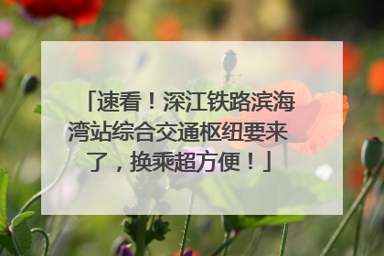 速看！深江铁路滨海湾站综合交通枢纽要来了，换乘超方便！