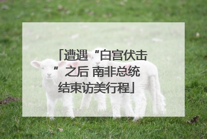 遭遇“白宫伏击”之后 南非总统结束访美行程