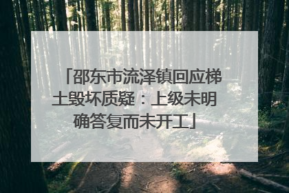 邵东市流泽镇回应梯土毁坏质疑：上级未明确答复而未开工