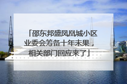 邵东邦盛凤凰城小区业委会筹备十年未果，相关部门回应来了
