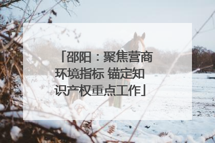 邵阳：聚焦营商环境指标 锚定知识产权重点工作