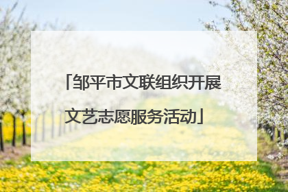 邹平市文联组织开展文艺志愿服务活动